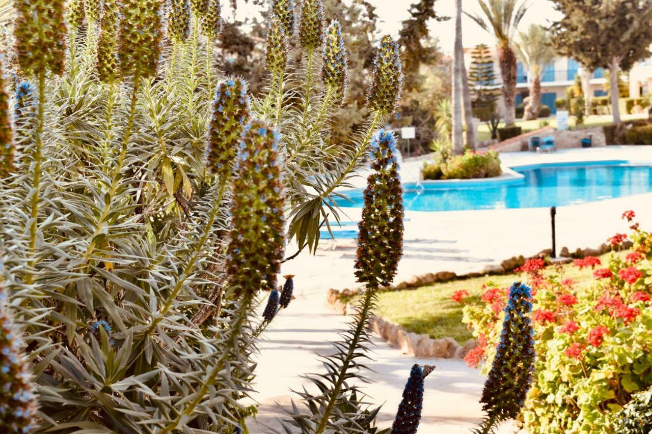 Paradise Gardens Mediterranean Home Paphos Exteriör bild