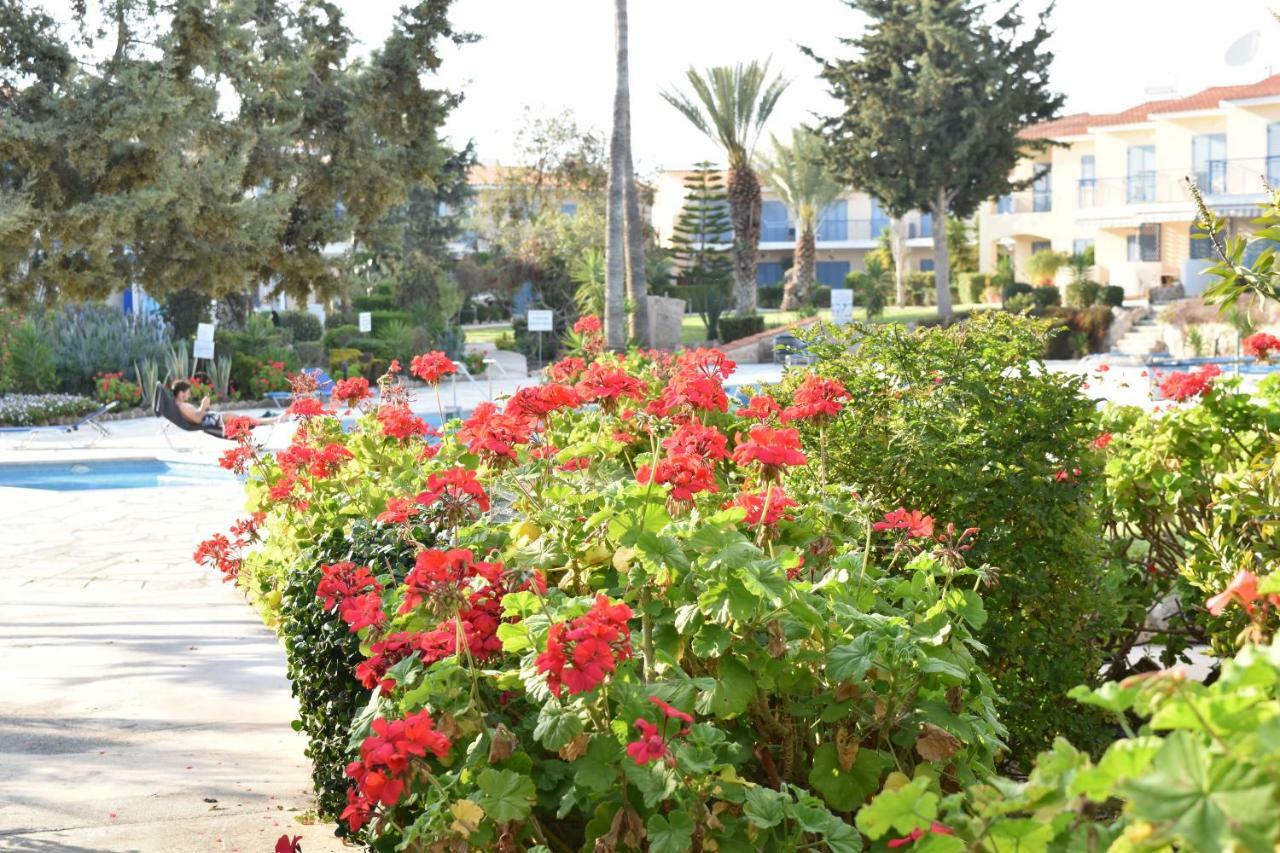 Paradise Gardens Mediterranean Home Paphos Exteriör bild